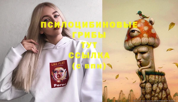 гашишное масло Медвежьегорск
