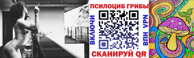 Псилоцибиновые грибы Psilocybe  где продают   Называевск 